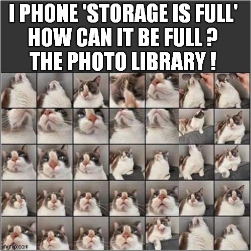 That's Too Many Cat Photos ! | I PHONE 'STORAGE IS FULL'
HOW CAN IT BE FULL ?
THE PHOTO LIBRARY ! | image tagged in cat,iphone,storage,full,photos | made w/ Imgflip meme maker