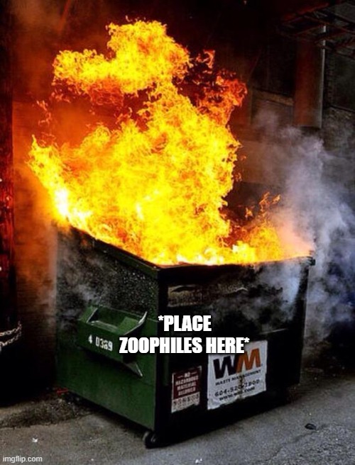 Dumpster Fire | *PLACE ZOOPHILES HERE* | image tagged in dumpster fire | made w/ Imgflip meme maker