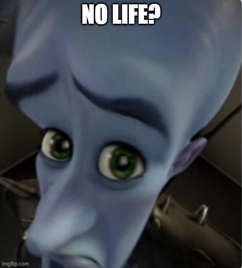 no life? | NO LIFE? | image tagged in no bitches template | made w/ Imgflip meme maker