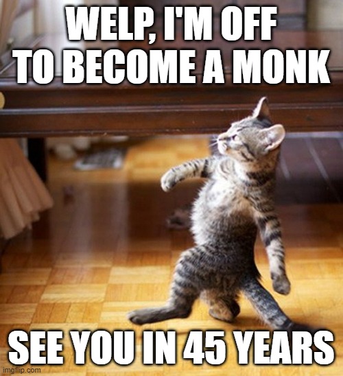 Cat Walking Like A Boss | WELP, I'M OFF TO BECOME A MONK SEE YOU IN 45 YEARS | image tagged in cat walking like a boss | made w/ Imgflip meme maker
