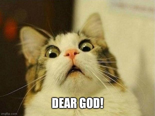 Scared Cat Meme | DEAR GOD! | image tagged in memes,scared cat | made w/ Imgflip meme maker