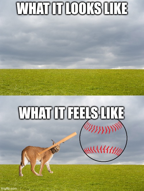 WHAT IT LOOKS LIKE; WHAT IT FEELS LIKE | image tagged in empty field | made w/ Imgflip meme maker