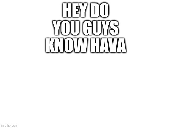 ask me | HEY DO YOU GUYS KNOW HAVA | image tagged in blank white template | made w/ Imgflip meme maker