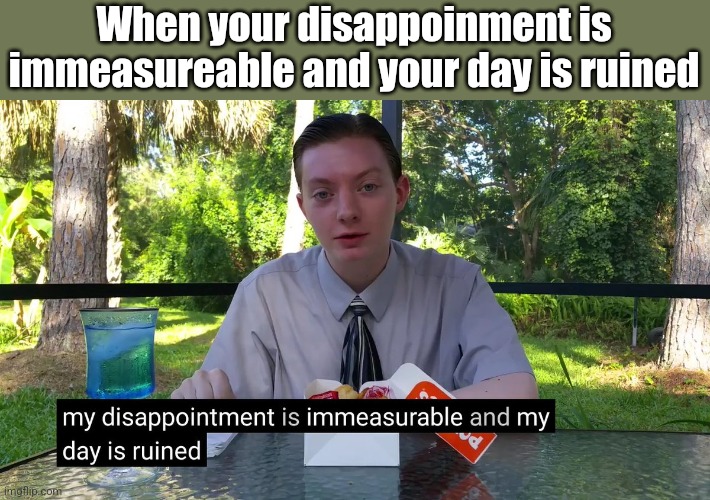 My Disappointment Is Immeasurable | When your disappoinment is immeasureable and your day is ruined | image tagged in my disappointment is immeasurable | made w/ Imgflip meme maker