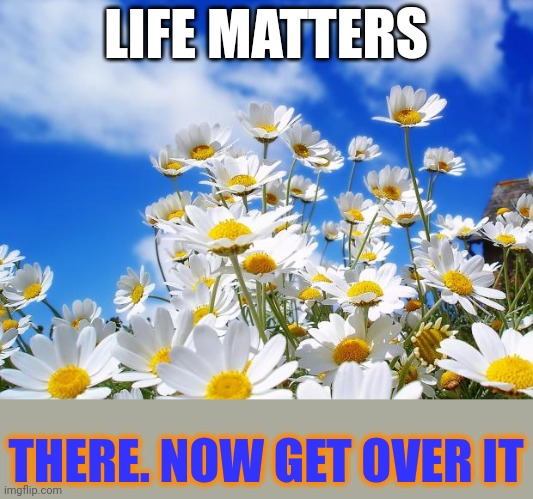 Shut up already | LIFE MATTERS; THERE. NOW GET OVER IT | image tagged in spring daisy flowers | made w/ Imgflip meme maker