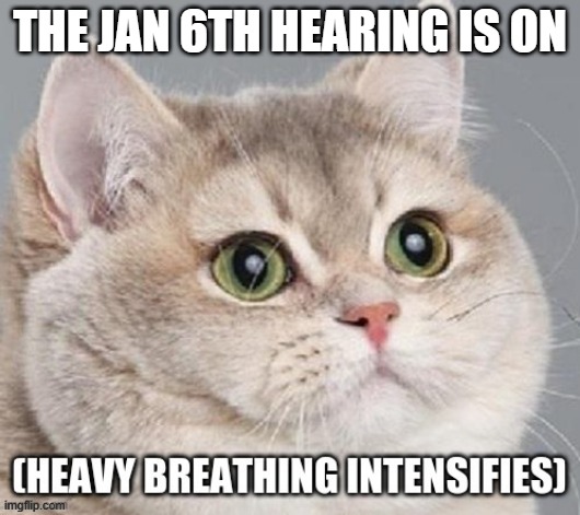 heavy breathing intensifies | THE JAN 6TH HEARING IS ON | image tagged in heavy breathing intensifies,donald trump,president trump,donald trump the clown,donald trump is an idiot | made w/ Imgflip meme maker