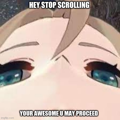 hehehe (Co-owner/Loki note:Jokes on you, I'm approving this) | HEY STOP SCROLLING; YOUR AWESOME U MAY PROCEED | image tagged in lol | made w/ Imgflip meme maker