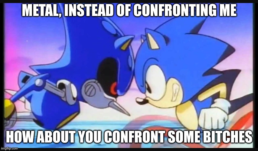 metal gets no bitches | METAL, INSTEAD OF CONFRONTING ME; HOW ABOUT YOU CONFRONT SOME BITCHES | image tagged in sonic- strange isn't it,sonic the hedgehog | made w/ Imgflip meme maker