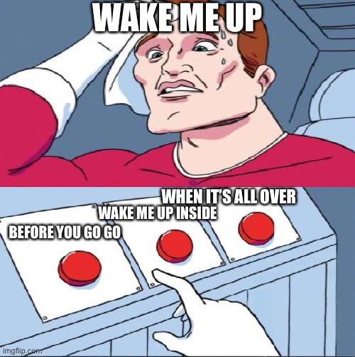 WAKE ME UP; WHEN IT’S ALL OVER; WAKE ME UP INSIDE; BEFORE YOU GO GO | made w/ Imgflip meme maker