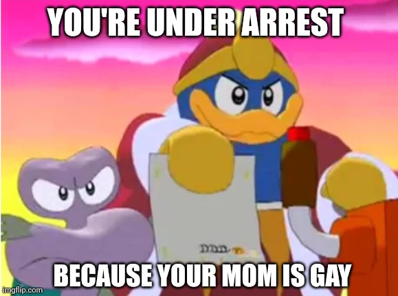 If you want to insult someone....use this one | YOU'RE UNDER ARREST; BECAUSE YOUR MOM IS GAY | image tagged in king dedede,kirby,memes,your mom,nintendo,toxic | made w/ Imgflip meme maker