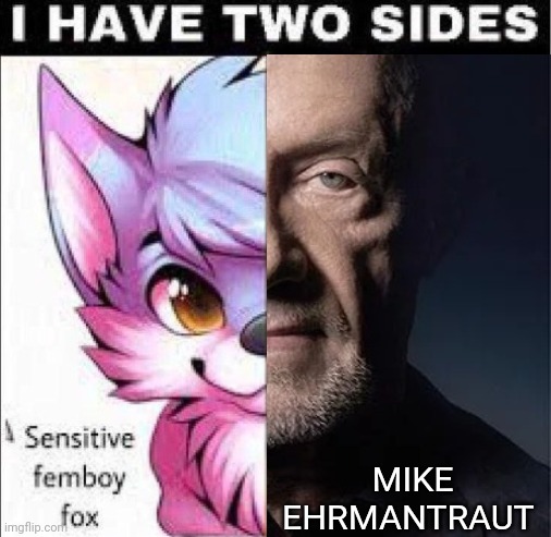 MIKE EHRMANTRAUT | made w/ Imgflip meme maker