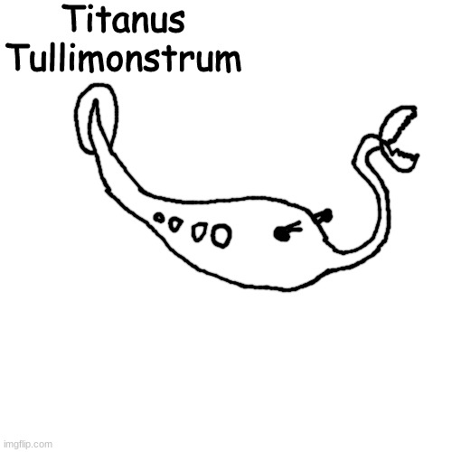 Blank Transparent Square | Titanus Tullimonstrum | image tagged in memes,blank transparent square | made w/ Imgflip meme maker
