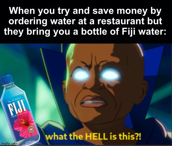 I WANTED TO BE RESPONSIBLE | When you try and save money by ordering water at a restaurant but they bring you a bottle of Fiji water: | image tagged in memes,unfunny | made w/ Imgflip meme maker