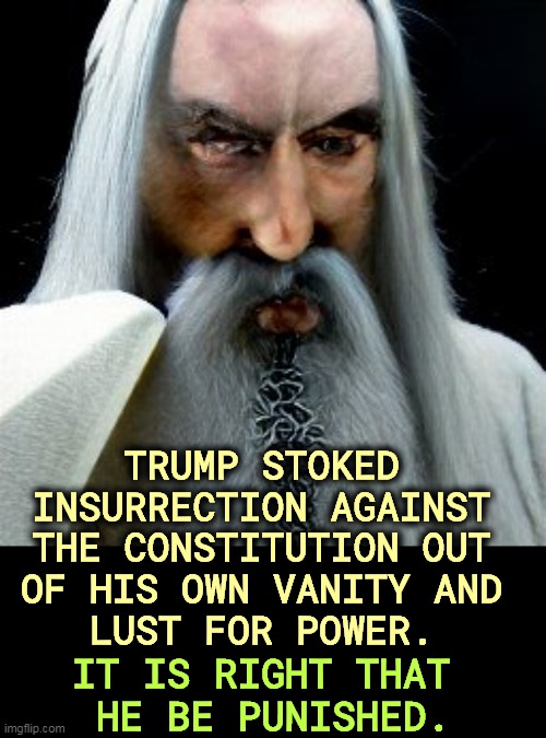 TRUMP STOKED 
INSURRECTION AGAINST 
THE CONSTITUTION OUT 
OF HIS OWN VANITY AND 
LUST FOR POWER. IT IS RIGHT THAT 
HE BE PUNISHED. | image tagged in trump,revolution,constitution,vanity,lust,power | made w/ Imgflip meme maker