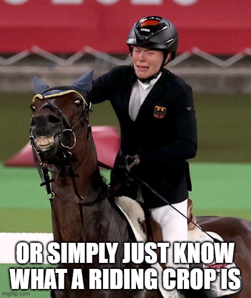 Happy horse sad rider | OR SIMPLY JUST KNOW WHAT A RIDING CROP IS | image tagged in happy horse sad rider | made w/ Imgflip meme maker