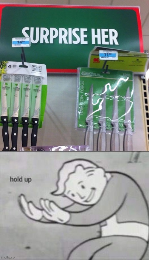 Hol up | image tagged in fallout hold up,lol,funny,lol so funny,you had one job,you had one job just the one | made w/ Imgflip meme maker