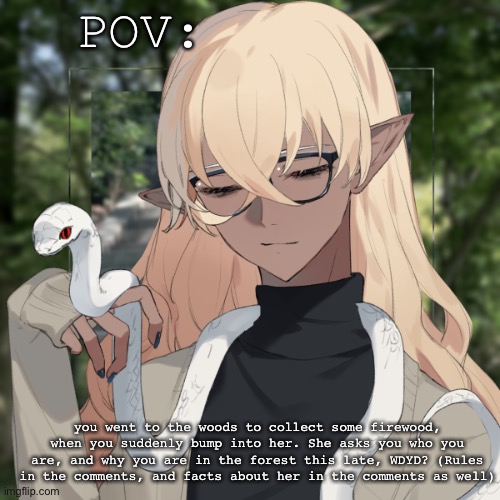 The rules are in the comments, have fun with this roleplay! | POV:; you went to the woods to collect some firewood, when you suddenly bump into her. She asks you who you are, and why you are in the forest this late, WDYD? (Rules in the comments, and facts about her in the comments as well) | image tagged in roleplay | made w/ Imgflip meme maker