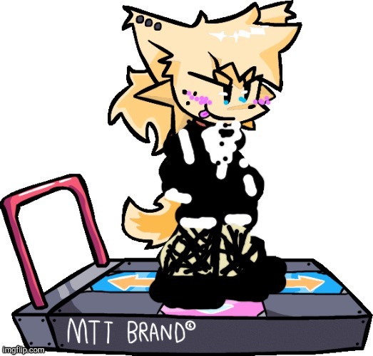 image tagged in theonlyrandomdoggo in maid dress | made w/ Imgflip meme maker