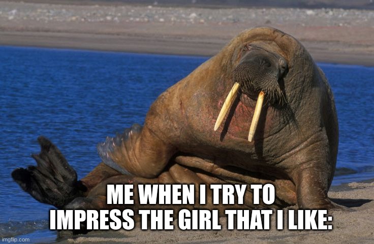 Middle School In A Nutshell | ME WHEN I TRY TO IMPRESS THE GIRL THAT I LIKE: | image tagged in beach body,memes,funny,relatable,relationships,middle school | made w/ Imgflip meme maker