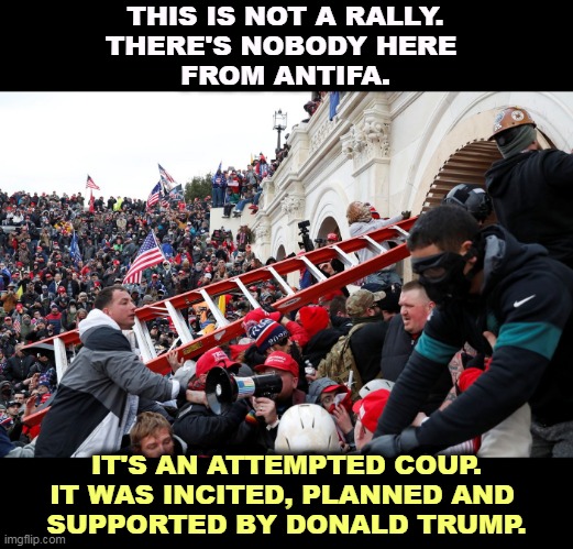 Qanon - Insurrection - Trump riot - sedition | THIS IS NOT A RALLY.
THERE'S NOBODY HERE 
FROM ANTIFA. IT'S AN ATTEMPTED COUP.
IT WAS INCITED, PLANNED AND 
SUPPORTED BY DONALD TRUMP. | image tagged in qanon - insurrection - trump riot - sedition,trump,coup,insurrection,against,constitution | made w/ Imgflip meme maker