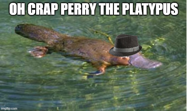 Platypus by Strongly Opinionated Platypus | OH CRAP PERRY THE PLATYPUS | image tagged in platypus by strongly opinionated platypus,perry the platypus,phineas and ferb | made w/ Imgflip meme maker