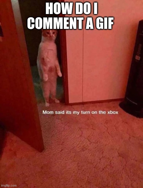 fctdvgebh | HOW DO I COMMENT A GIF | image tagged in cursedkat announcement template | made w/ Imgflip meme maker