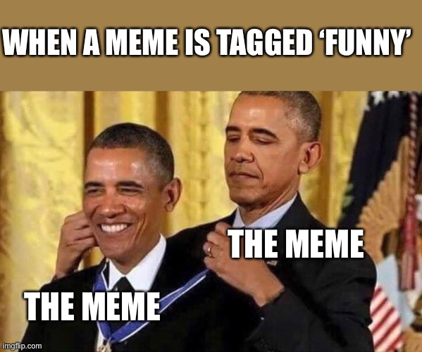 Funny | WHEN A MEME IS TAGGED ‘FUNNY’; THE MEME; THE MEME | image tagged in obama medal,funny,obamium | made w/ Imgflip meme maker