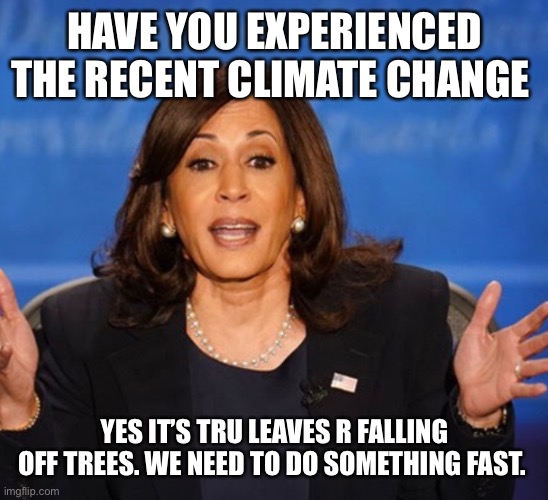 Kamala Harris | HAVE YOU EXPERIENCED THE RECENT CLIMATE CHANGE; YES IT’S TRU LEAVES R FALLING OFF TREES. WE NEED TO DO SOMETHING FAST. | image tagged in kamala harris | made w/ Imgflip meme maker
