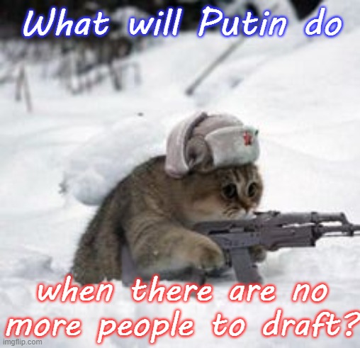 The cat better not say "war" or "invasion!" | What will Putin do; when there are no more people to draft? | image tagged in russian cat,invasion,military humor | made w/ Imgflip meme maker