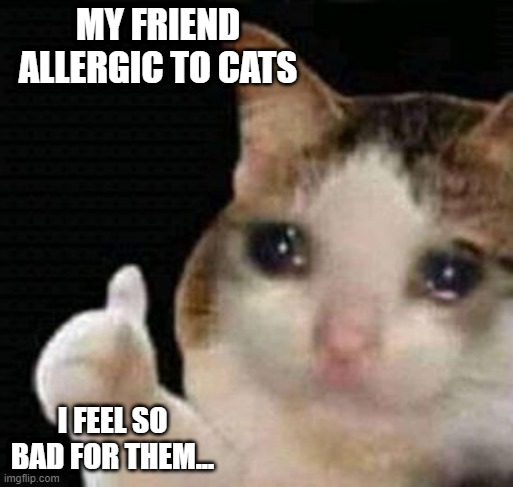 aww :< | MY FRIEND ALLERGIC TO CATS; I FEEL SO BAD FOR THEM... | image tagged in sad thumbs up cat,sad,cat,sad cat,allergy | made w/ Imgflip meme maker