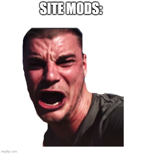 selfie | SITE MODS: | image tagged in selfie | made w/ Imgflip meme maker