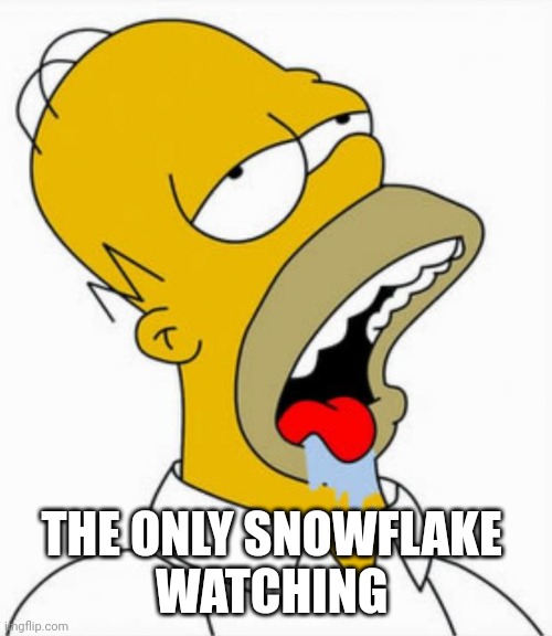 Homer Drooling | THE ONLY SNOWFLAKE 
WATCHING | image tagged in homer drooling | made w/ Imgflip meme maker
