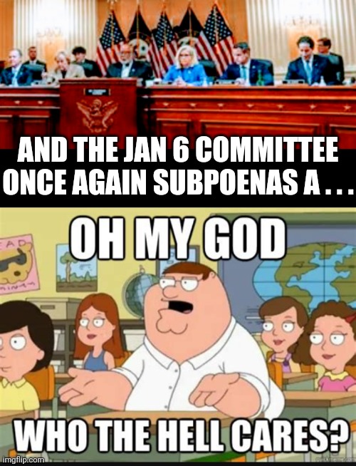 Wasting taxpayer money |  AND THE JAN 6 COMMITTEE ONCE AGAIN SUBPOENAS A . . . | image tagged in liberals,leftists,democrats,rino,trump,jan6 | made w/ Imgflip meme maker