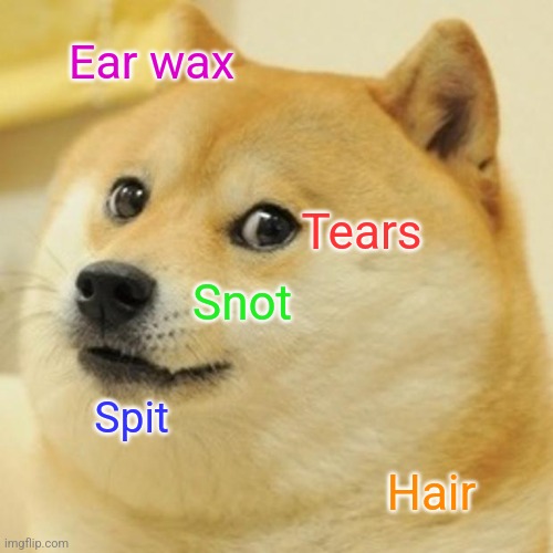 Label Doge | Ear wax; Tears; Snot; Spit; Hair | image tagged in memes,doge | made w/ Imgflip meme maker