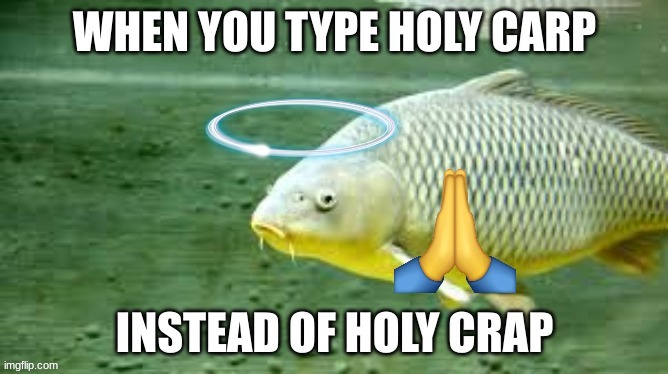 HOLY CARP!!! | image tagged in funny memes | made w/ Imgflip meme maker