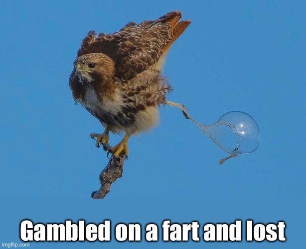 Gambled on a fart and lost | made w/ Imgflip meme maker