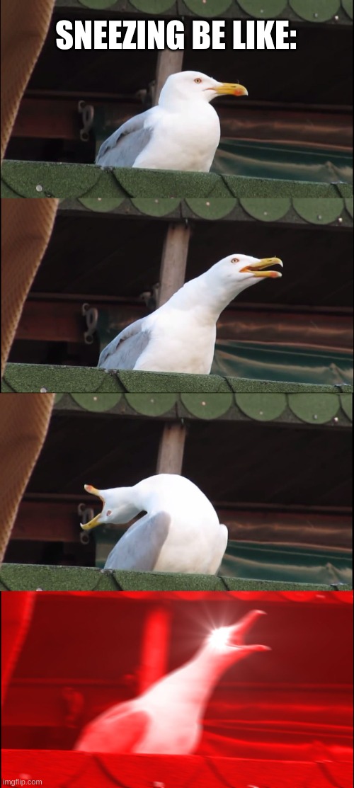 Sneezing | SNEEZING BE LIKE: | image tagged in memes,inhaling seagull | made w/ Imgflip meme maker