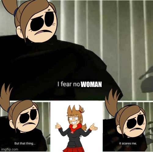 Mirror Mirror | WOMAN | image tagged in i fear no man,eddsworld | made w/ Imgflip meme maker