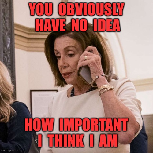 Pelosi importance | YOU  OBVIOUSLY  HAVE  NO  IDEA; HOW  IMPORTANT  I  THINK  I  AM | image tagged in pelosi phone,no idea,important,i think,i am,politics | made w/ Imgflip meme maker