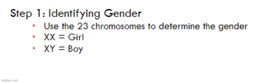 more proof that there's only 2 genders | made w/ Imgflip meme maker