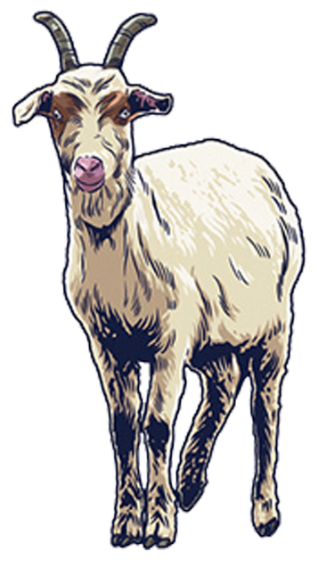 High Quality Goat (Stylized) Blank Meme Template