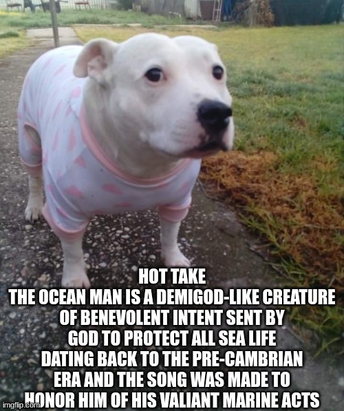 PITBULL IN A ONESIE | HOT TAKE
THE OCEAN MAN IS A DEMIGOD-LIKE CREATURE OF BENEVOLENT INTENT SENT BY GOD TO PROTECT ALL SEA LIFE DATING BACK TO THE PRE-CAMBRIAN ERA AND THE SONG WAS MADE TO HONOR HIM OF HIS VALIANT MARINE ACTS | image tagged in pitbull in a onesie | made w/ Imgflip meme maker