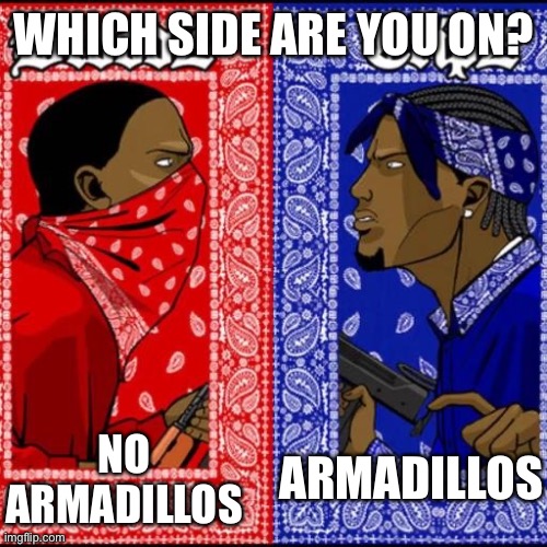 L | WHICH SIDE ARE YOU ON? ARMADILLOS; NO ARMADILLOS | image tagged in blood and crip | made w/ Imgflip meme maker
