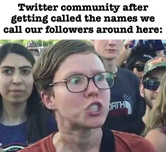 lol | Twitter community after getting called the names we call our followers around here: | image tagged in triggered liberal | made w/ Imgflip meme maker