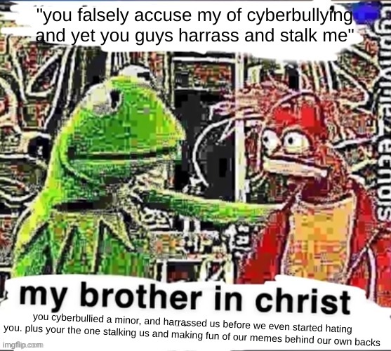 My brother in Christ | "you falsely accuse my of cyberbullying and yet you guys harrass and stalk me" you cyberbullied a minor, and harrassed us before we even sta | image tagged in my brother in christ | made w/ Imgflip meme maker