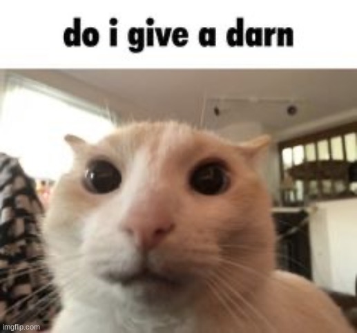 do i give a darn | image tagged in do i give a darn | made w/ Imgflip meme maker