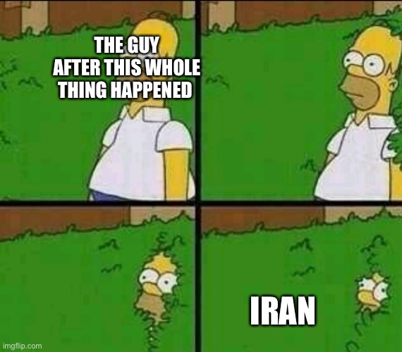 Homer Simpson Nope | THE GUY AFTER THIS WHOLE THING HAPPENED IRAN | image tagged in homer simpson nope | made w/ Imgflip meme maker