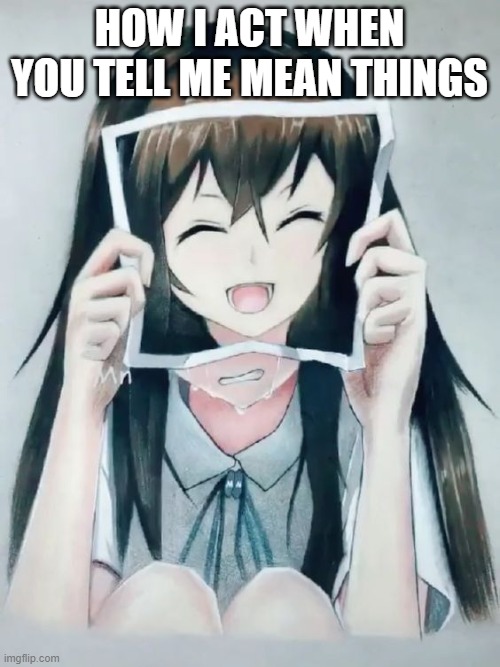 Anime girl crying | HOW I ACT WHEN YOU TELL ME MEAN THINGS | image tagged in anime girl crying | made w/ Imgflip meme maker
