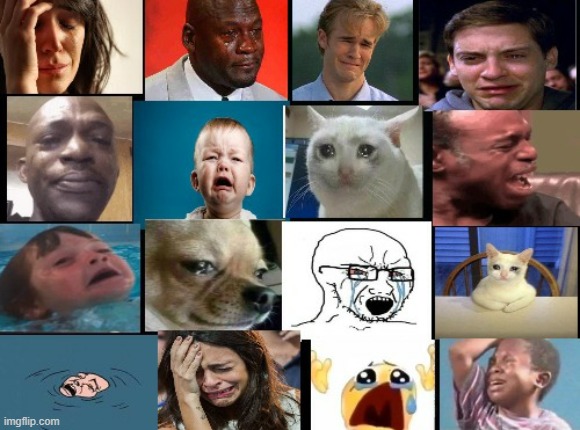 The whole squad crying | image tagged in the whole squad crying | made w/ Imgflip meme maker
