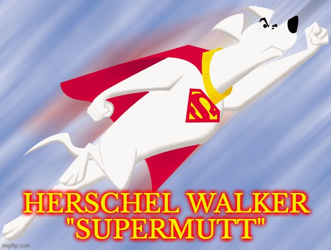 Self-Proclaimed SuperMutt | HERSCHEL WALKER
"SUPERMUTT" | image tagged in hershel walker,supermutt,comics/cartoons | made w/ Imgflip meme maker